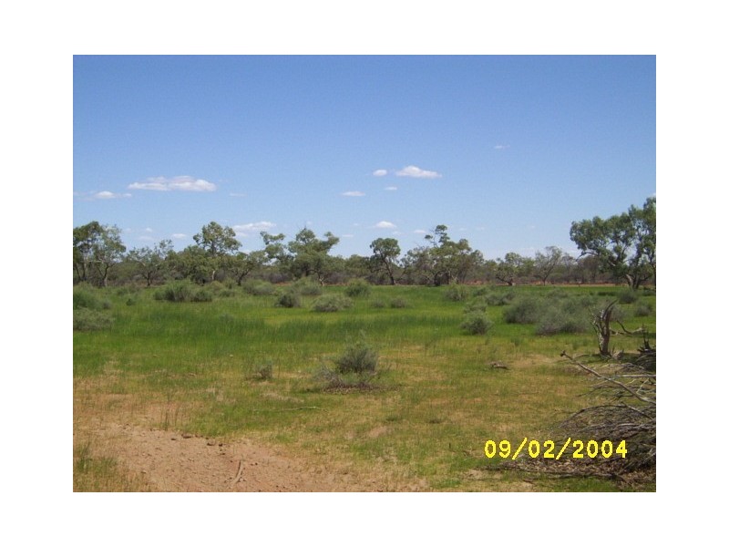Eulo QLD 4491