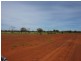 Eulo QLD 4491