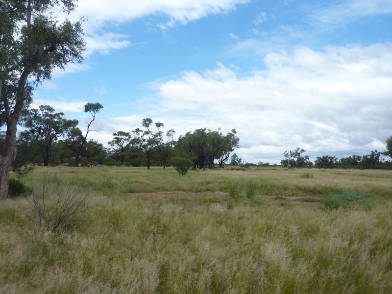 Eulo QLD 4491