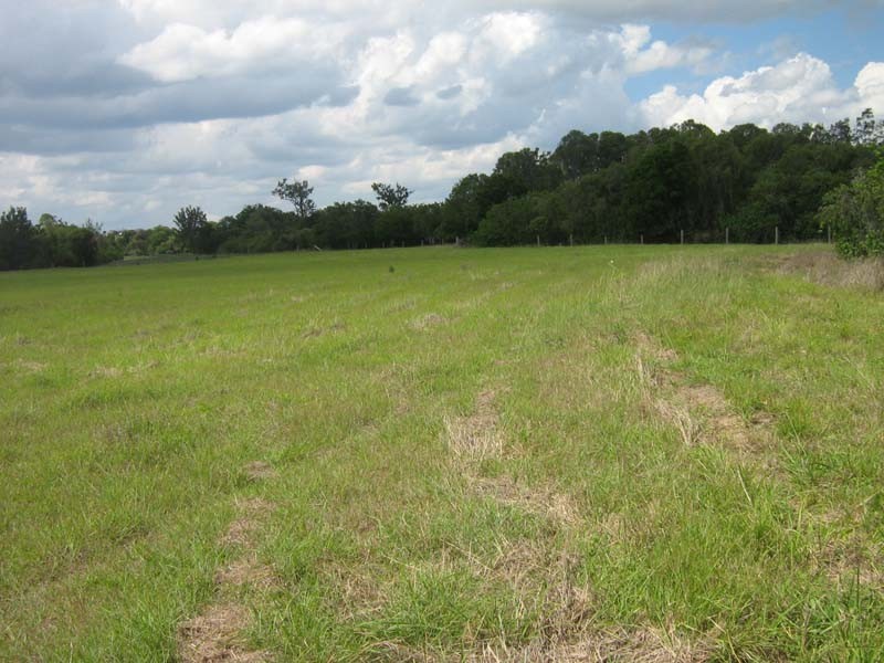 Lower Wonga QLD 4570