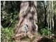 Goomboorian QLD 4570