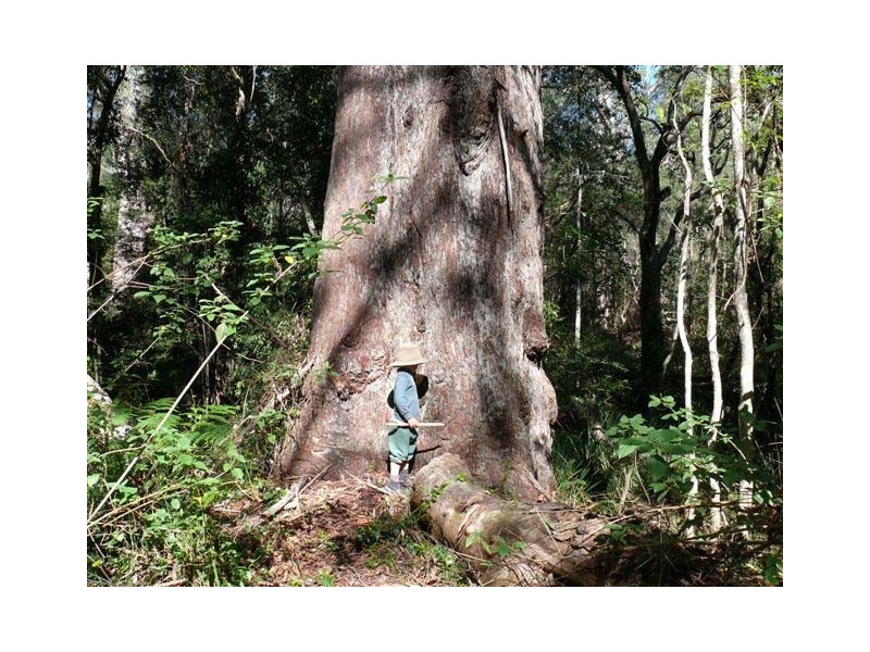 Goomboorian QLD 4570