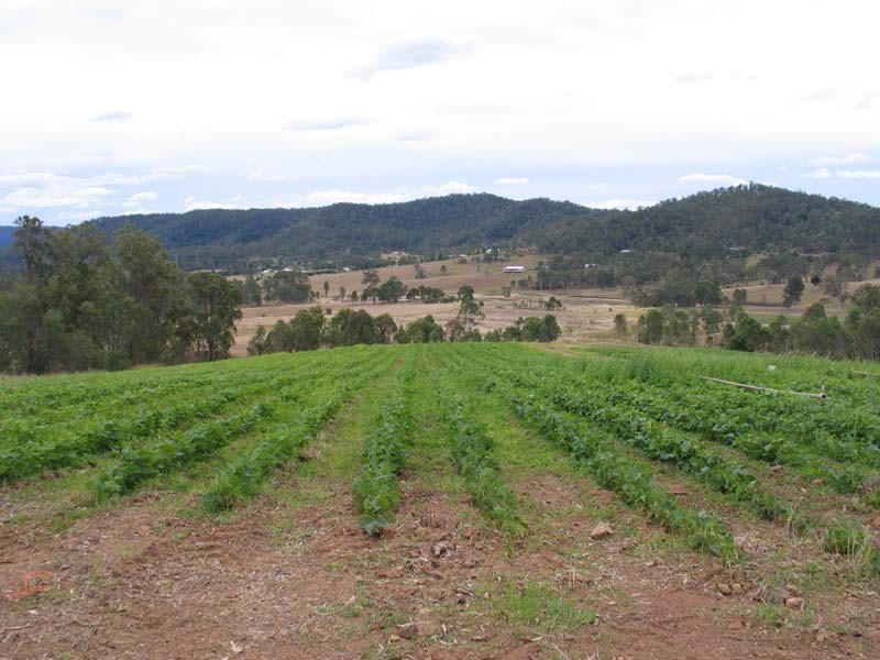 Glastonbury QLD 4570