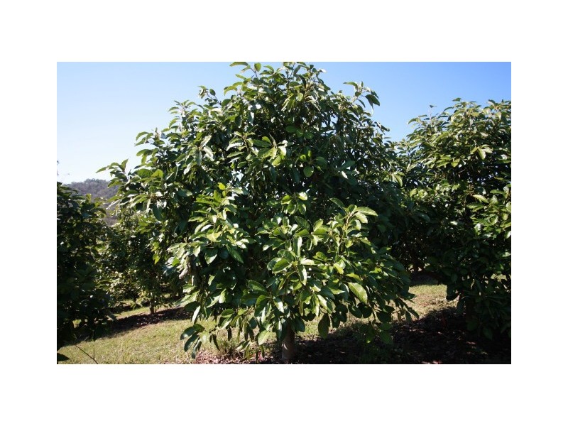 Marys Creek QLD 4570