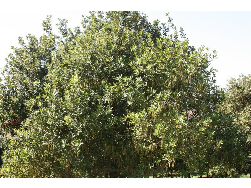 Marys Creek QLD 4570