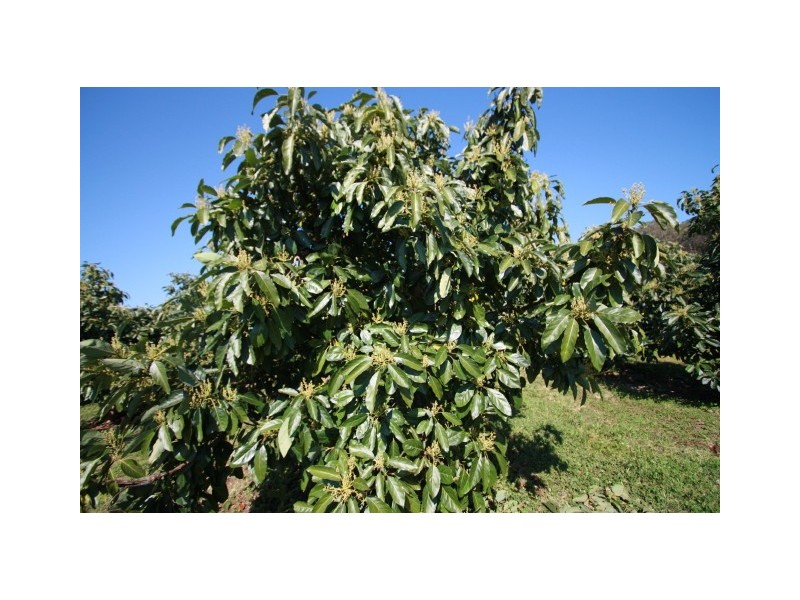 Marys Creek QLD 4570