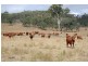 Booubyjan QLD 4601