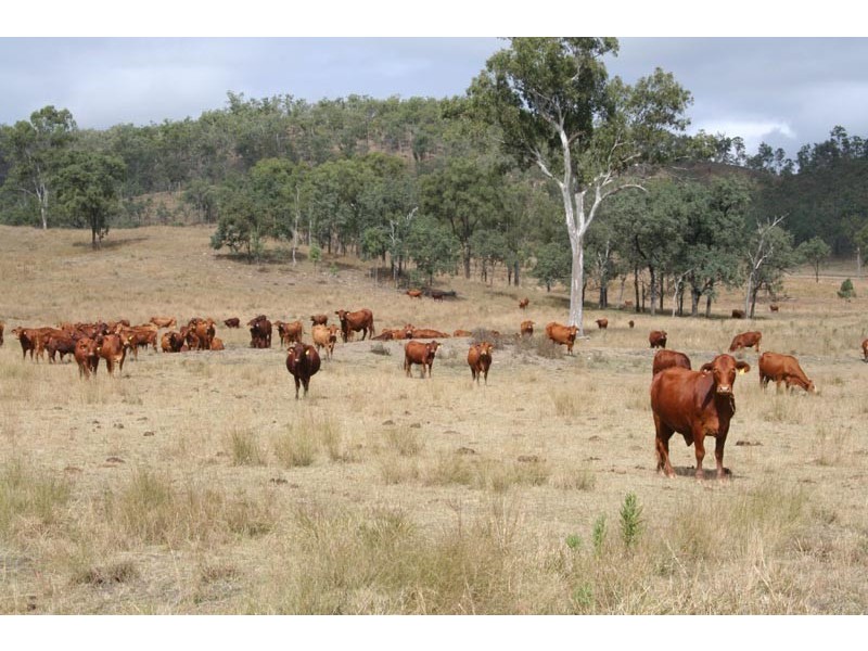 Booubyjan QLD 4601