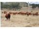 Booubyjan QLD 4601