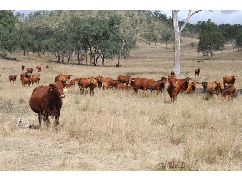 Booubyjan QLD 4601