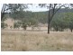 Booubyjan QLD 4601