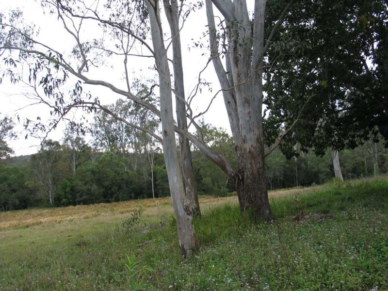 Curra QLD 4570