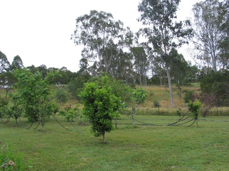Curra QLD 4570