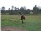 Curra QLD 4570