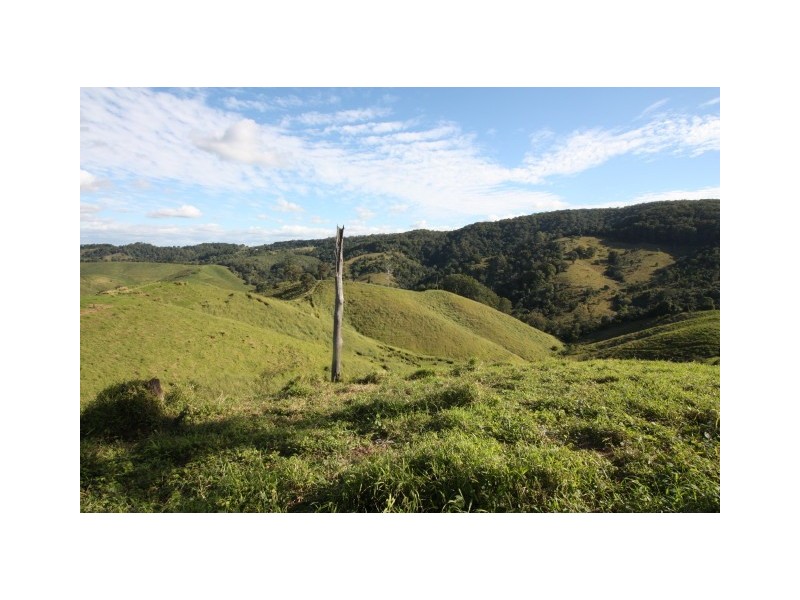 Pinbarren QLD 4568