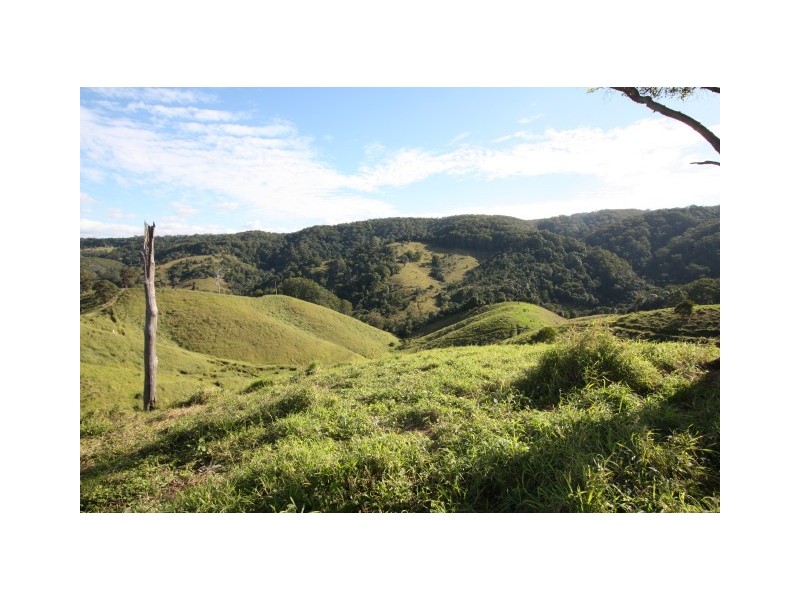 Pinbarren QLD 4568