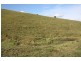 Pinbarren QLD 4568