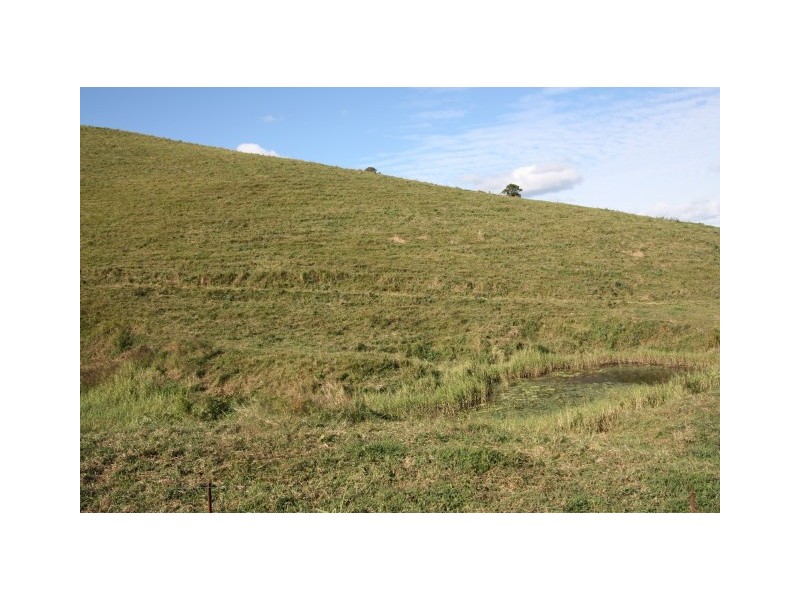Pinbarren QLD 4568