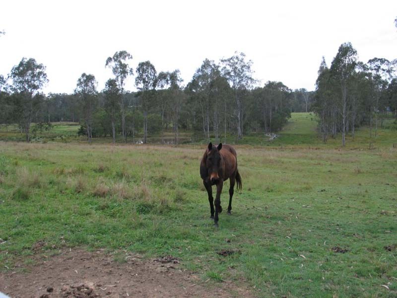Curra QLD 4570