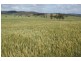 Goomeri QLD 4601