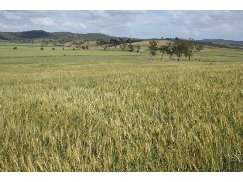 Goomeri QLD 4601