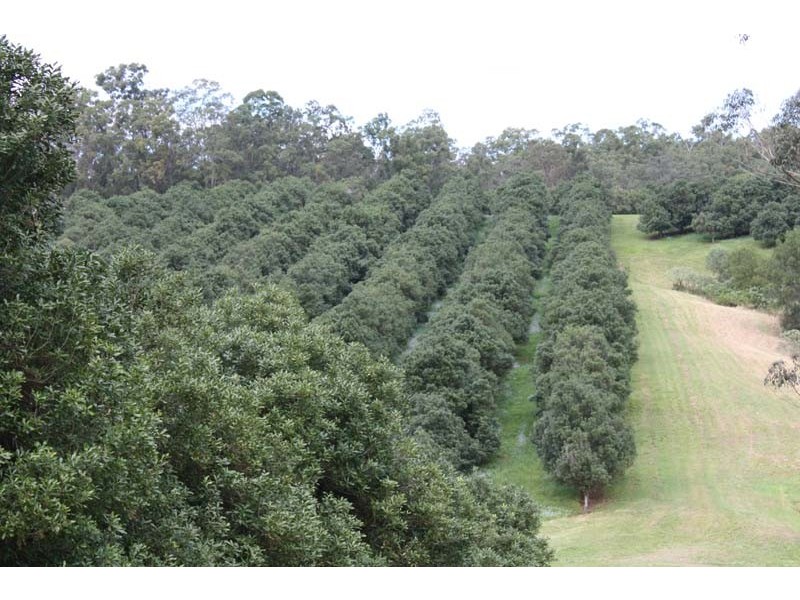 North Deep Creek QLD 4570