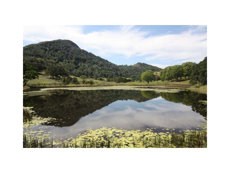 Cooroy Mountain QLD 4563