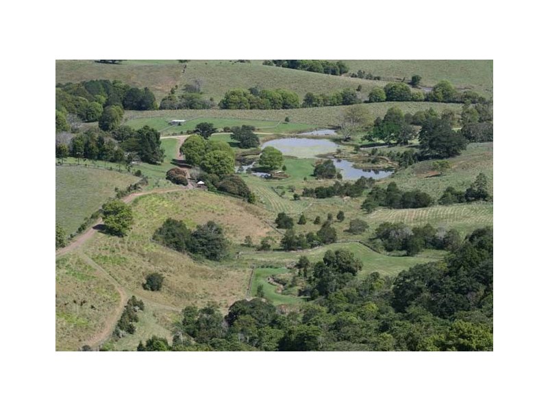 Cooroy Mountain QLD 4563