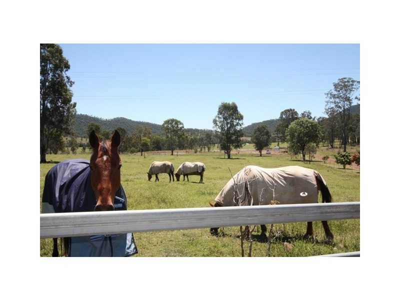 135 UPPER WIDGEE, Widgee QLD 4570