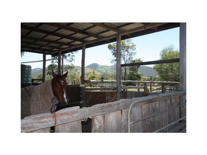 135 UPPER WIDGEE, Widgee QLD 4570