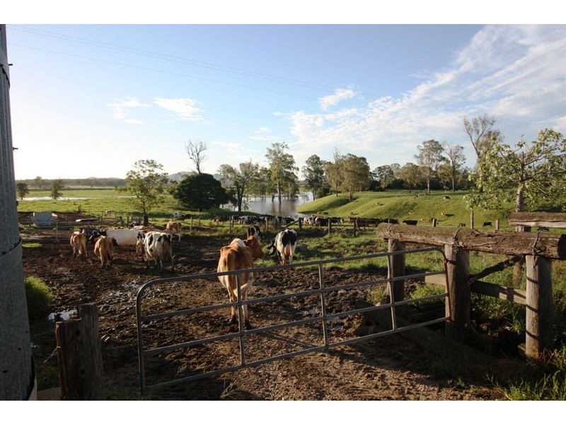 Curra QLD 4570