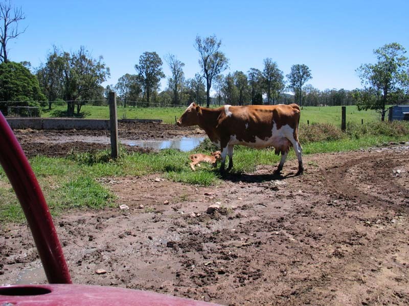 Curra QLD 4570