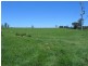 Curra QLD 4570