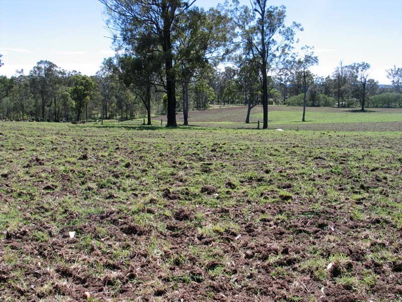 Curra QLD 4570
