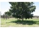 Wolvi QLD 4570