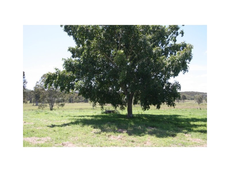 Wolvi QLD 4570