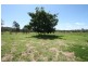 Wolvi QLD 4570