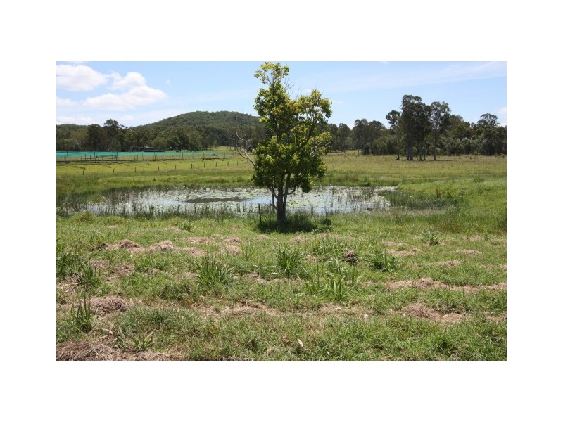 Wolvi QLD 4570