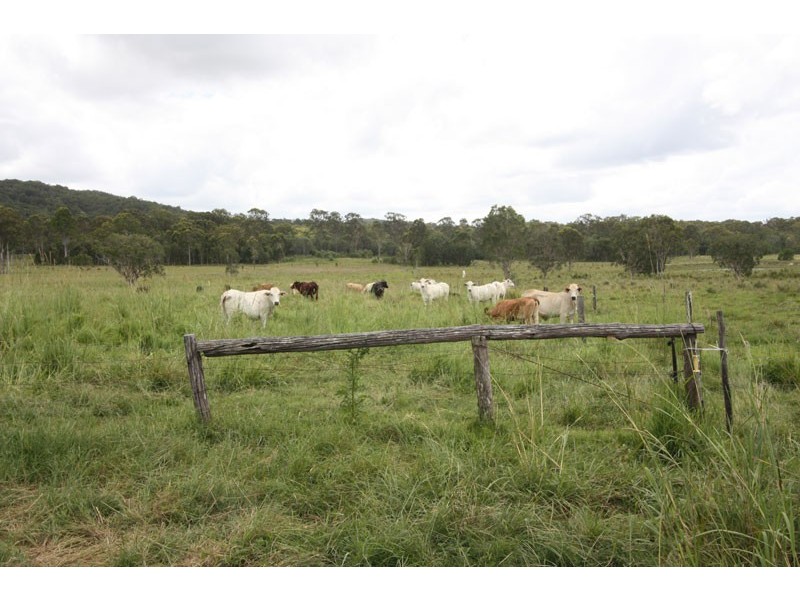Wolvi QLD 4570