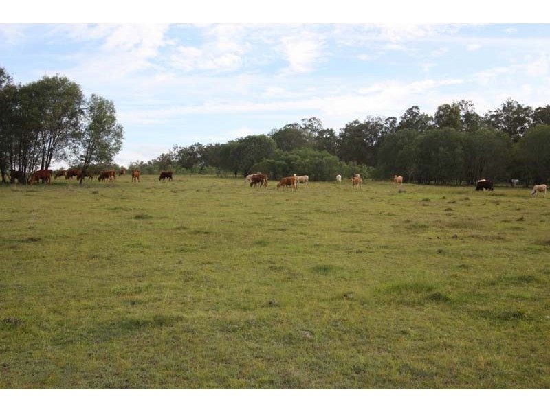 Sexton QLD 4570