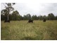 Lower Wonga QLD 4570