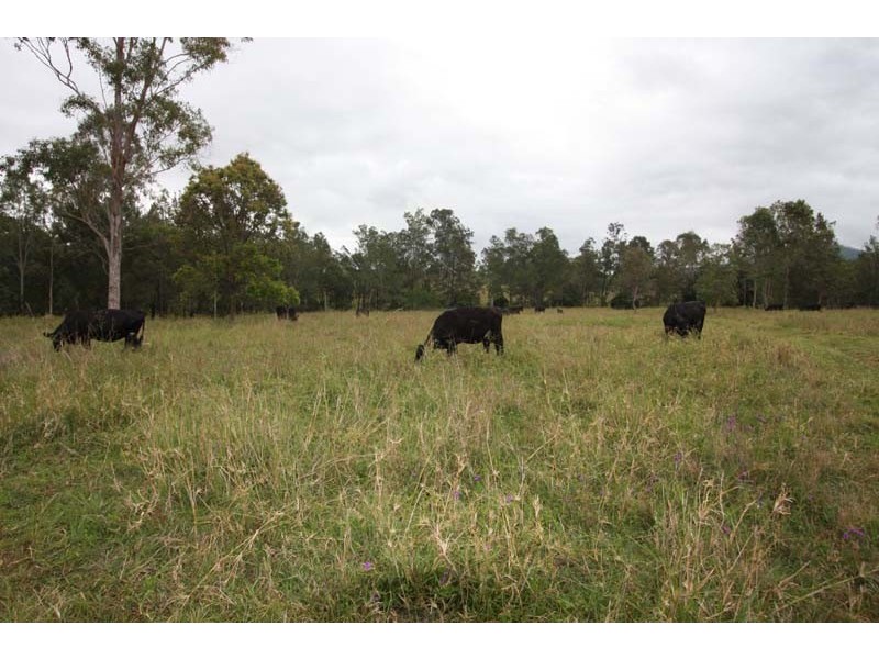 Lower Wonga QLD 4570