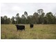Lower Wonga QLD 4570