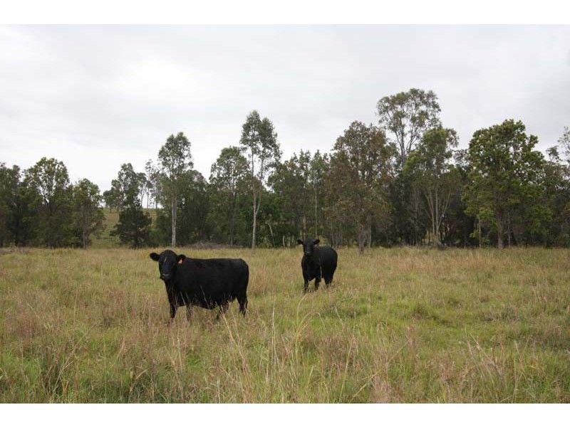 Lower Wonga QLD 4570