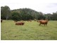 Langshaw QLD 4570