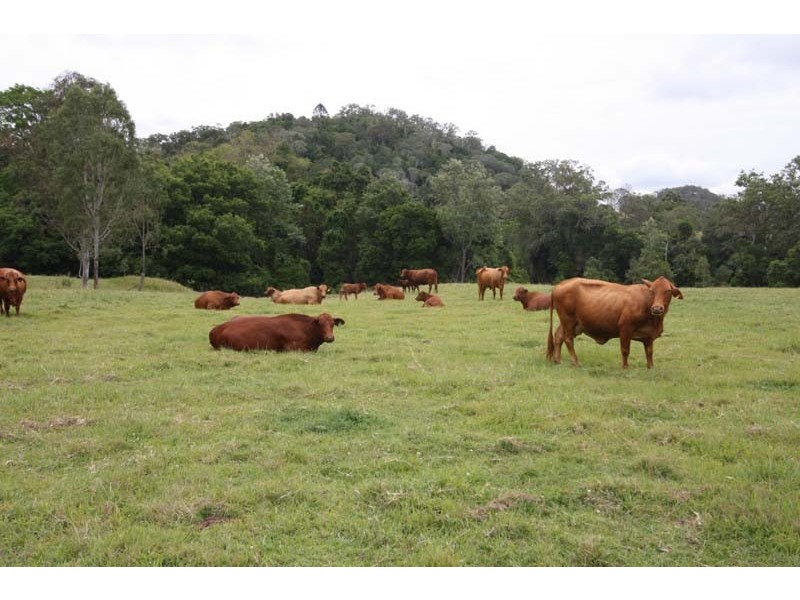 Langshaw QLD 4570