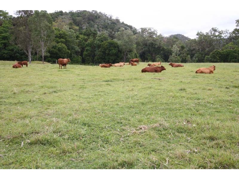 Langshaw QLD 4570