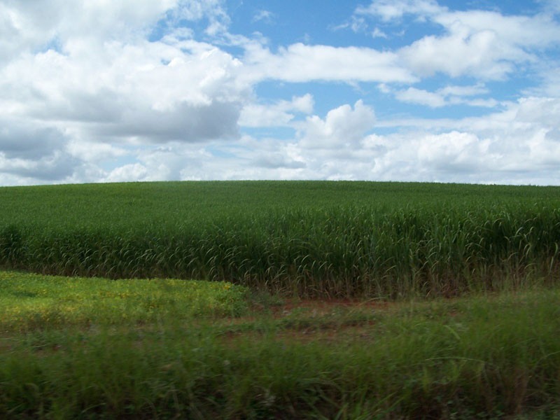 Lake Monduran QLD 4671