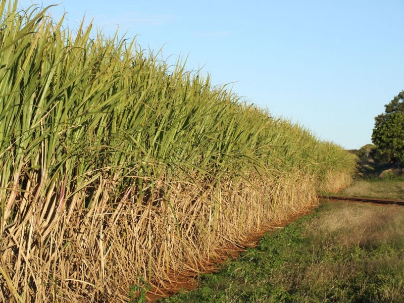 Lake Monduran QLD 4671