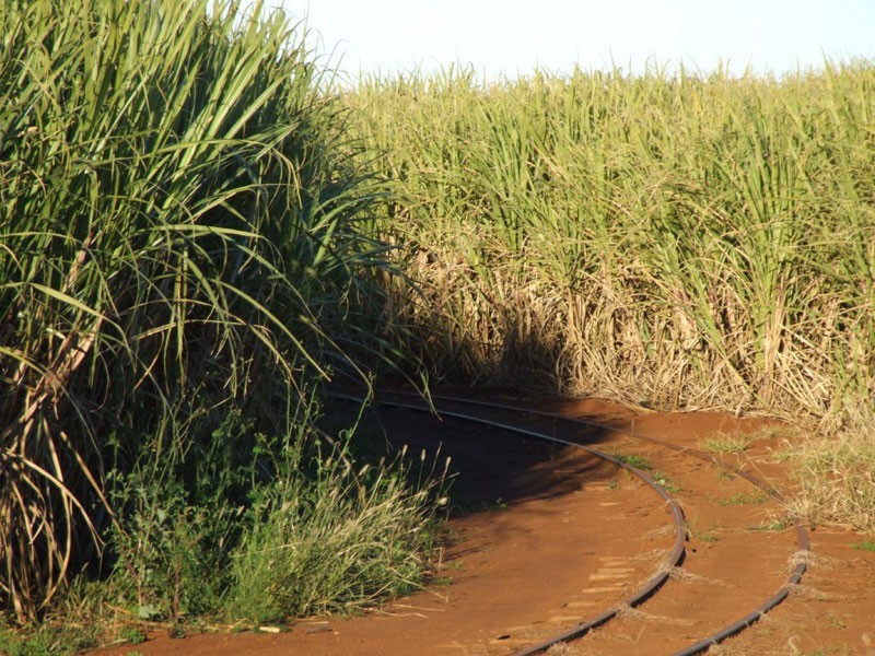 Lake Monduran QLD 4671